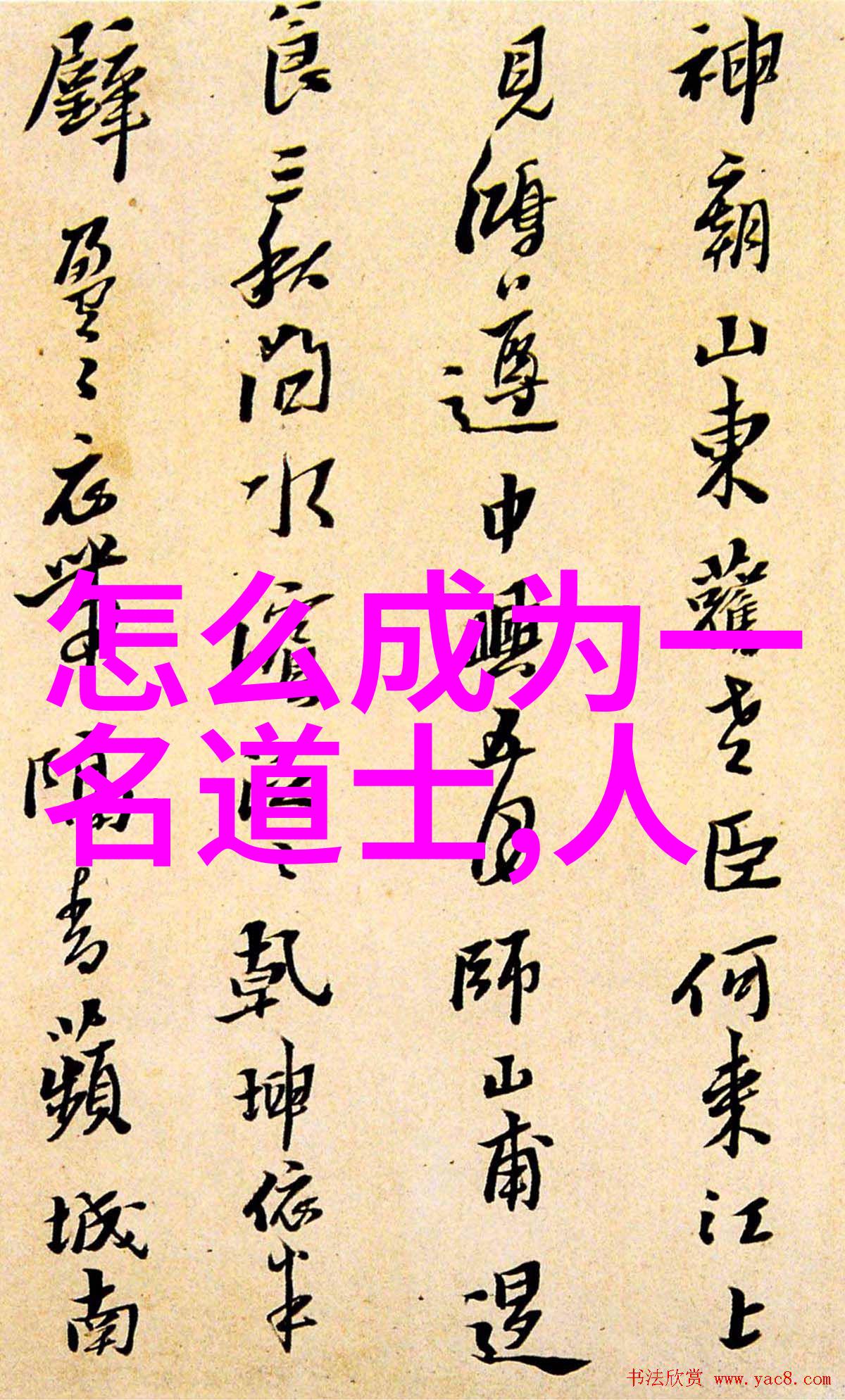 道家智慧的代言人探索中国古代哲学的代表人物