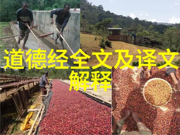 缘分难寻道家经典中那些令人心动的相遇