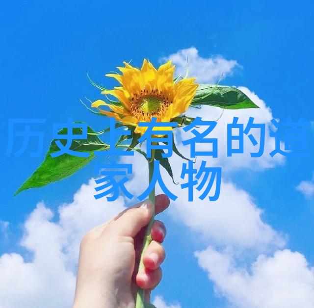 无为故无败探索生命的真谛与成功之道