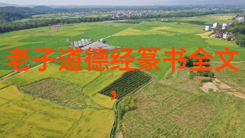 100句优美诗句我的情感旅途