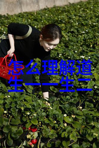 道教经文中提到的内丹修炼有哪些步骤