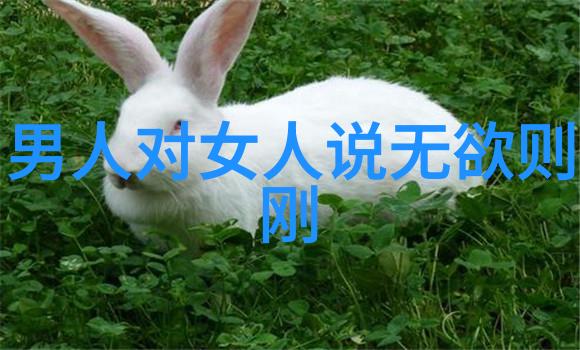 他们是否会面临内心与外界价值观之间的冲突怎么办到平衡点
