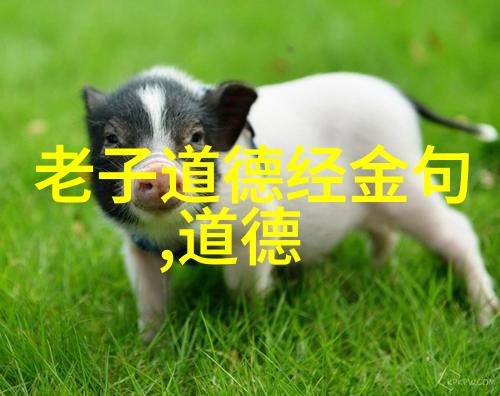 张载韩非荀况等人的政治思想研究兼论法家和名族主义者对汉初政局的影响力分析