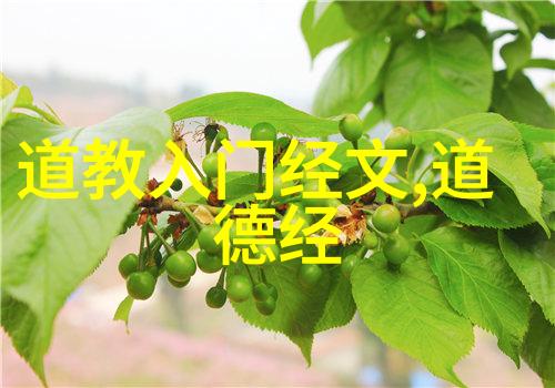 九界更迭玉帝的轮换与天命