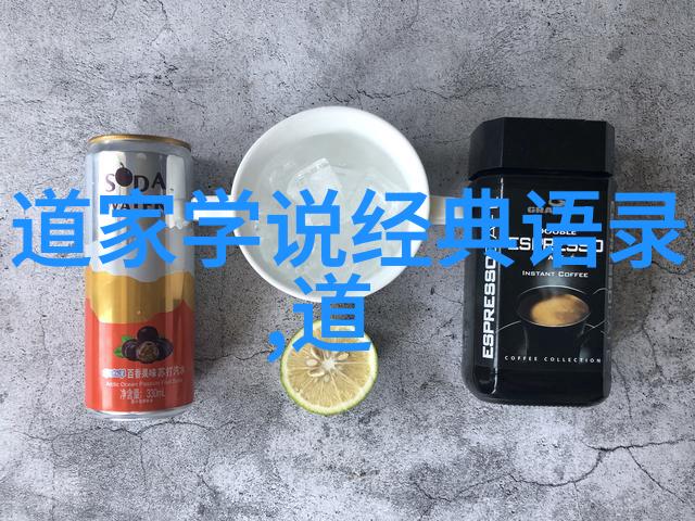国家养的道家高人隐世修炼与国家荣耀