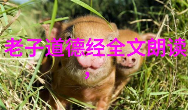 线条笔画与气韵楷书艺术创作技巧解析
