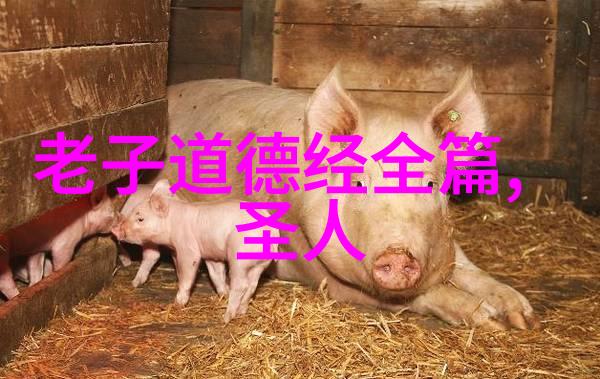 书法四字作品内容-墨香浓淡探索古今书体的韵味与情感