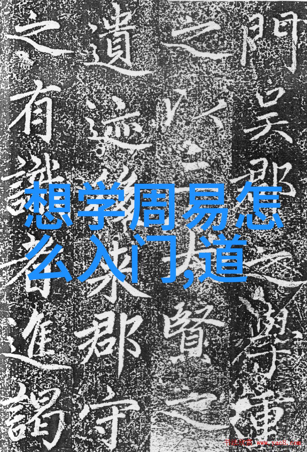 如何在现代社会中实践无为则无所不为无欲则刚的生活态度