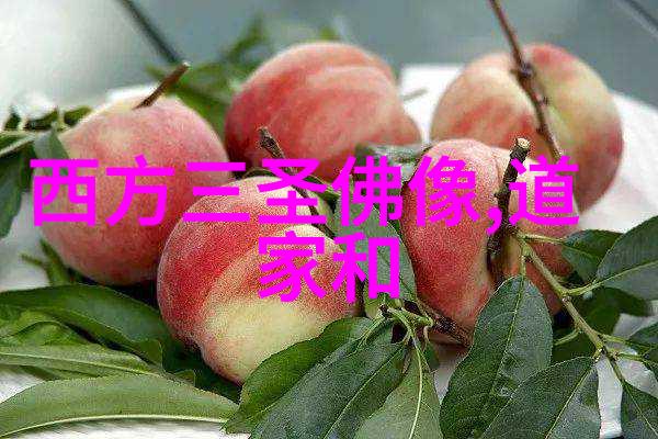 在春天我的小院子里的花朵又开了