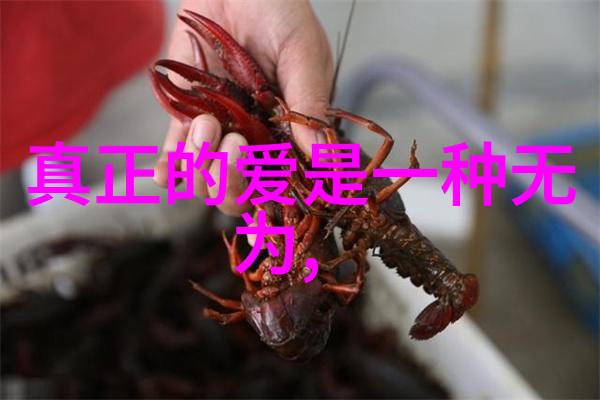 无欲则刚穿越时空的觉醒者