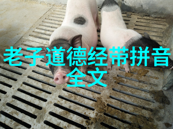 古代对联艺术的精髓