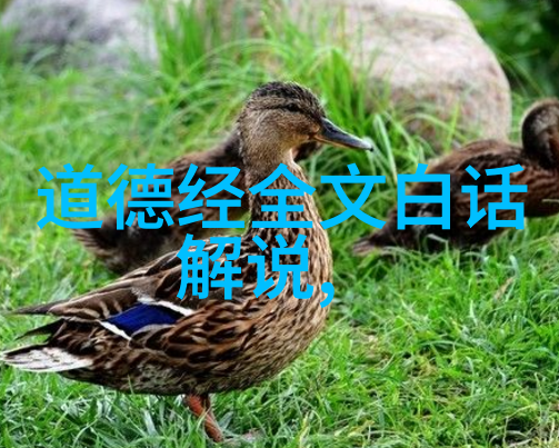 探索内心的智慧道家思想的启蒙之旅