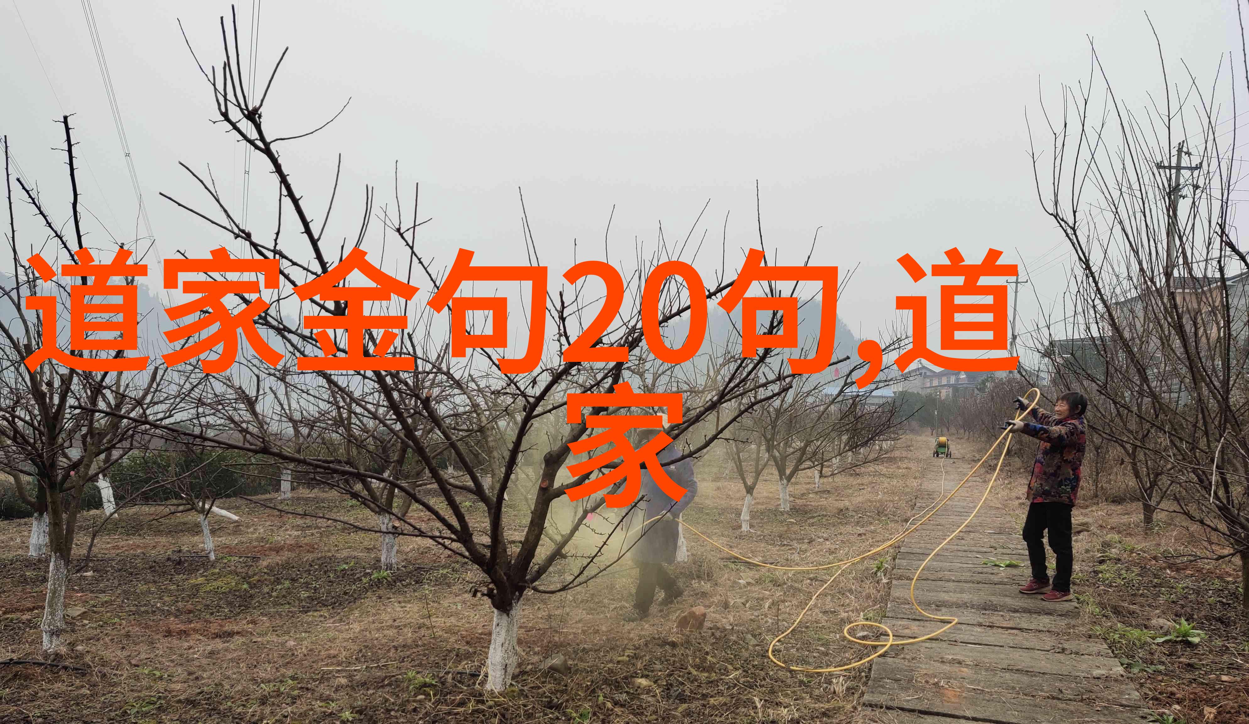道教三大奇书是哪三部-揭秘道教圣典探索太上老君三部金书