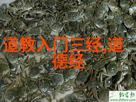 道家经典缘分句子我说你知道吗缘分这东西像道德经里说的那般深奥