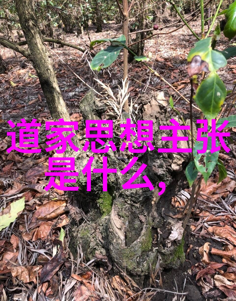 庄周梦游道家的哲学探索者