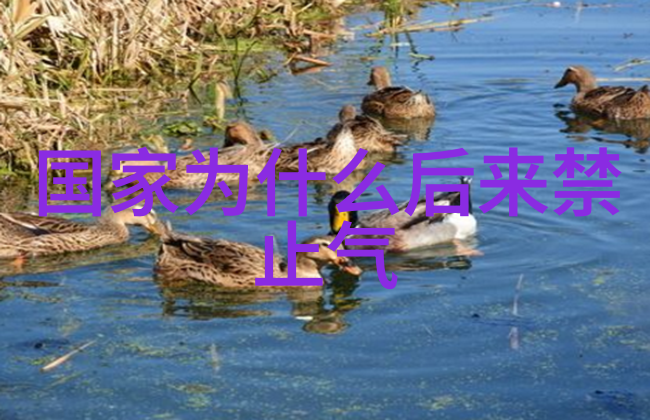 道德经之心执一悟源