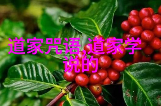 道家传承人物智慧的足迹与永恒的精神