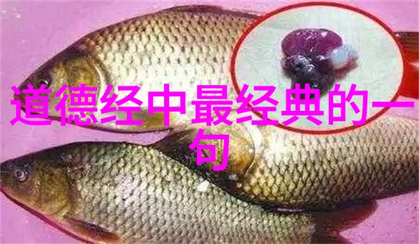 道教咒语大全引导修行者触摸天地之灵气