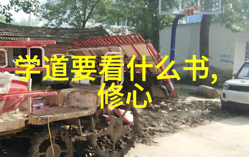 道家之谜简介背后的哲学与代表人物的智慧