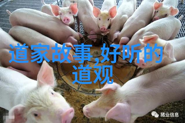 无为而无不为怎么回复我是这样说的当他问你无为而无不为是什么意思时你可以轻松地回答说就是像煮豆腐一样不