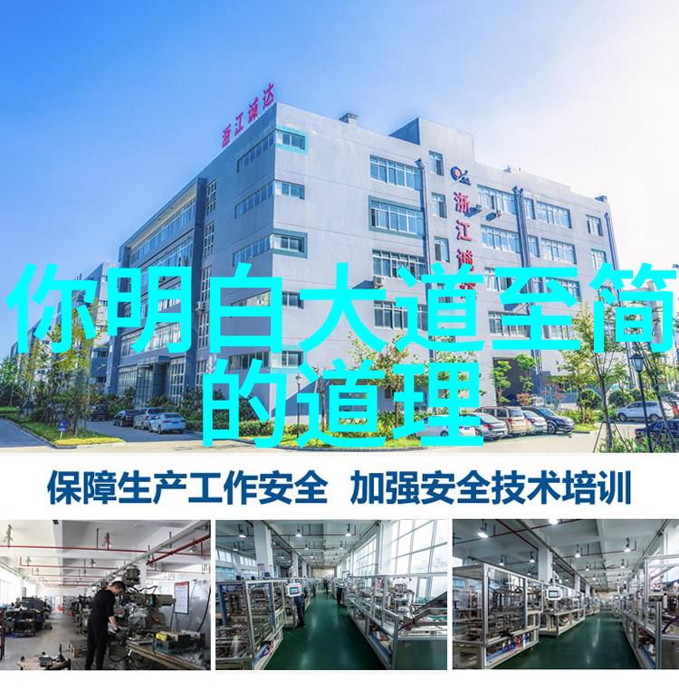 知行合一的楷模探索道家的历史与代表性人物