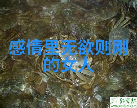 文字里的精神光芒从易经到现代探讨道在中国文化中的表现形式