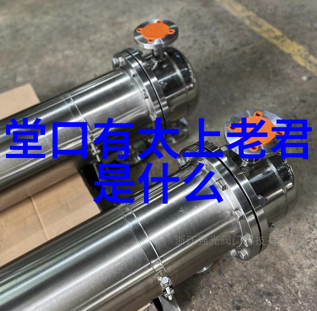 极品家丁全文阅读我的守护者背后的秘密与忠诚的誓言