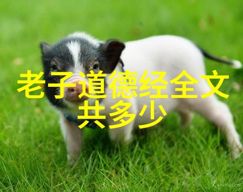 智慧的沉默解读孔子无言之意