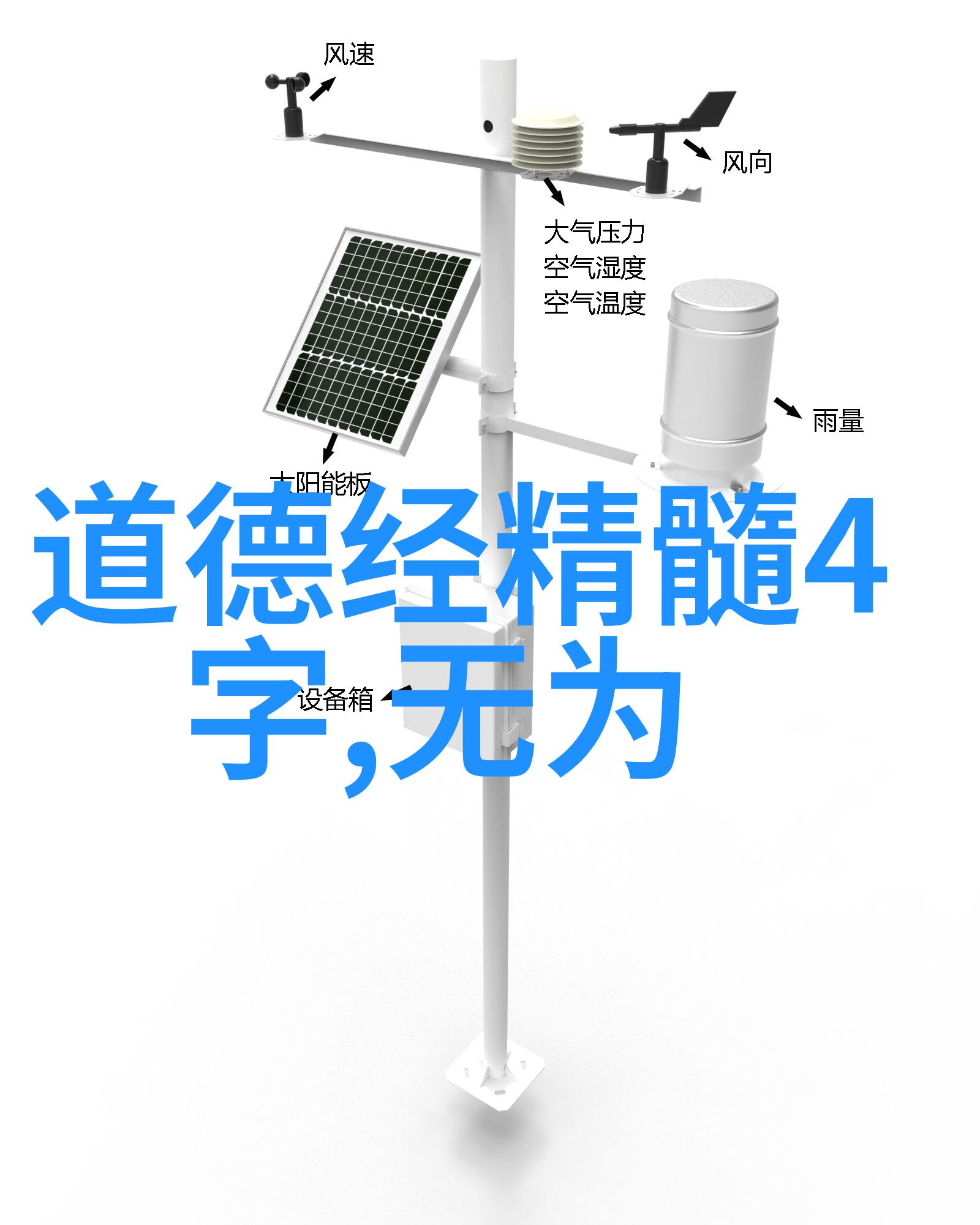 静默中的交响林徽因最美的邂逅