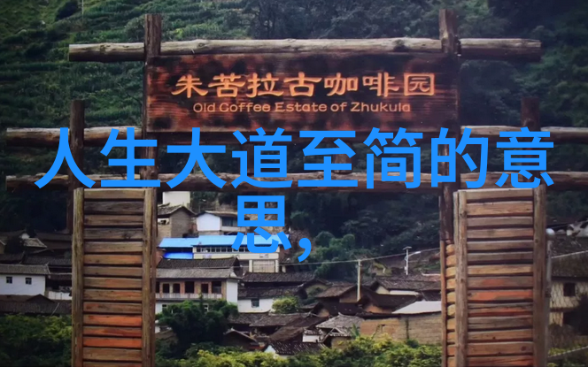 无欲则刚剖析一位坚定女性特质的内涵与魅力