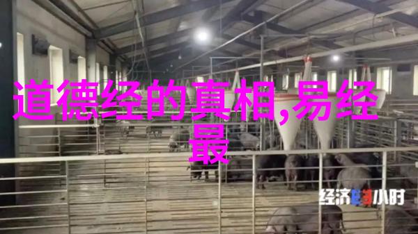 修行不愿透露的秘密我心中的武功秘籍只有在星光下才能解锁真谛