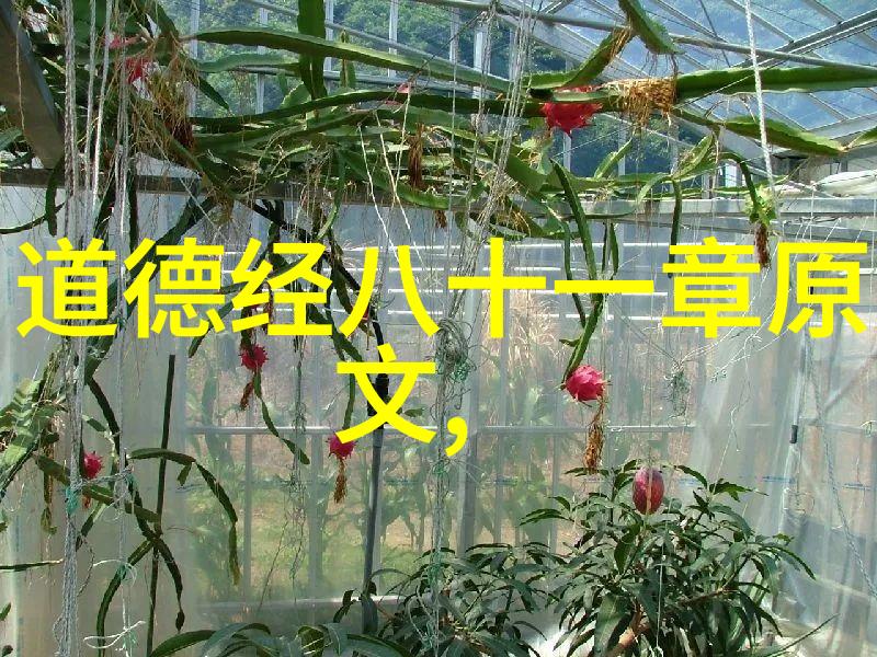 常应常静守护一生的爱情承诺