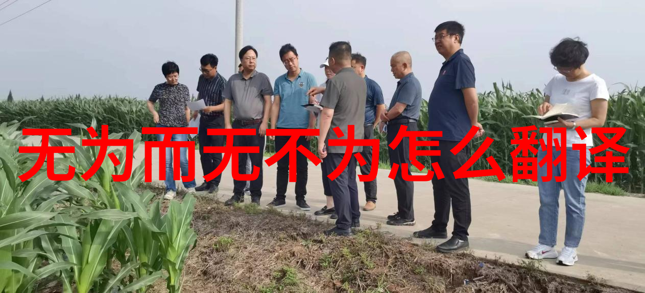 未来几年中我们可能会看到哪些变化在道教中的念经实践中出现呢
