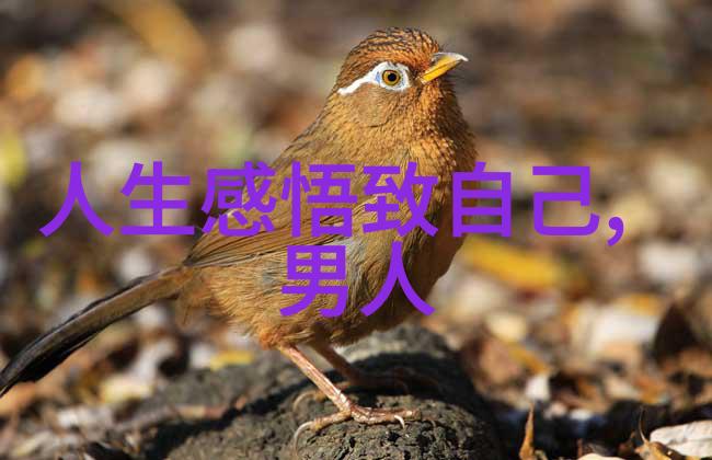 雪花纷飞的季节书法作品怎样保留冬日美感