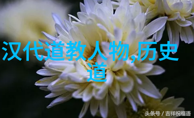 道家智者老子之旅与天地的和谐