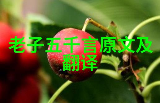 中国古代哲学交流史上的道家和佛家的融合现象分析