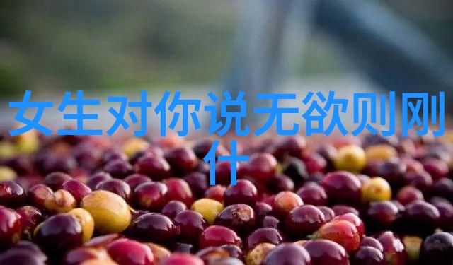 墨香轻吟古韵绘影