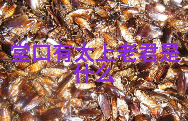 从古至今的人生哲学一分养全身一分待百行