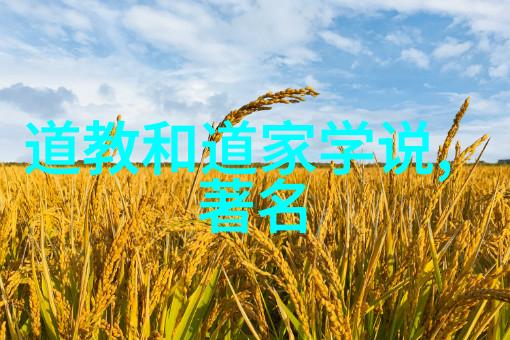 猴子故事我和六耳的荒唐冒险