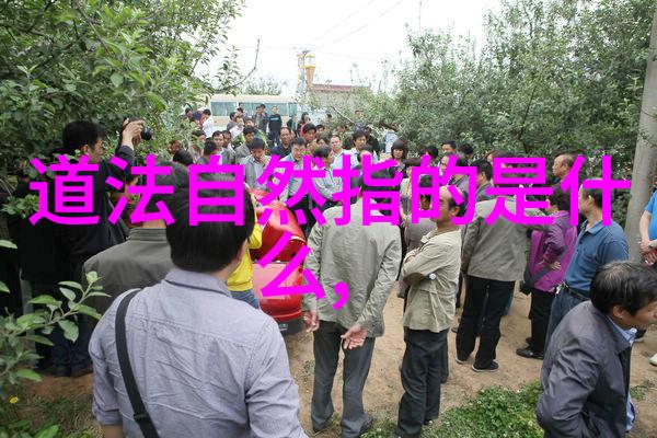 道家哲学入门理解道