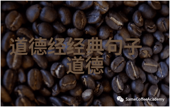 年轻女性嘻哈歌手的美国文化探索与对流行音乐现象的反思