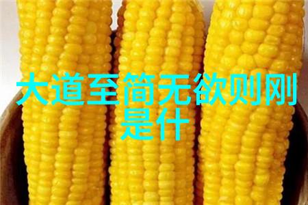 道术与文明-道士念的经文探索天人合一的哲学