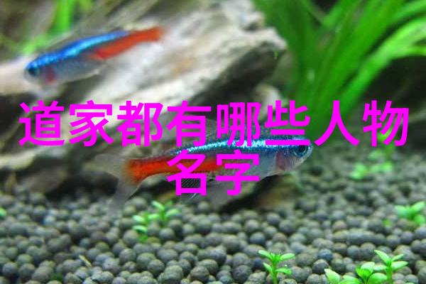 如何反驳道家观点不对-辩析天机挑战道家哲学的逻辑与证据