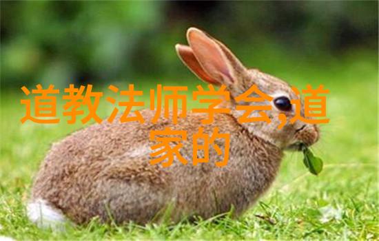 道德经精髓探究自然之治与内心之和