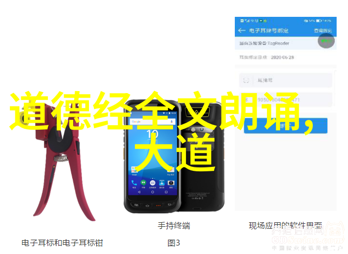 无为之道的魅力探索
