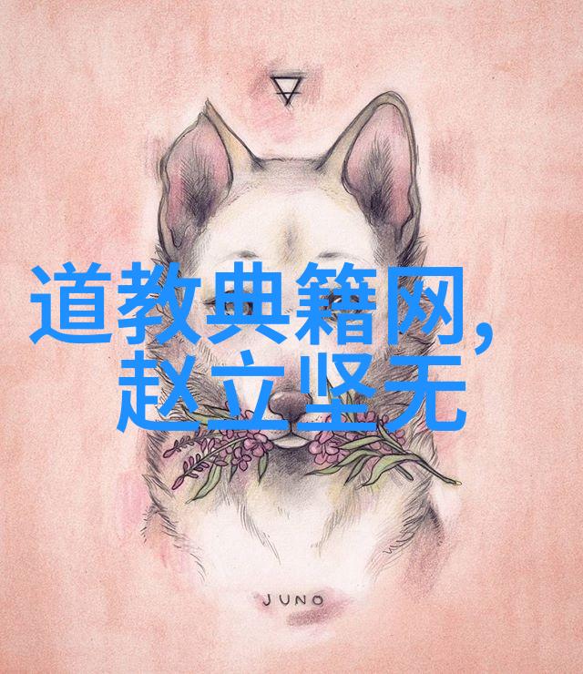 孙得一的道德经之谜真理还是骗局