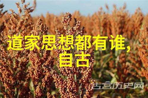 学易经能改变命运吗-易道变局探索易经在人生转折中的作用
