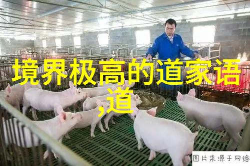 从复杂到简单的大转变大道至简在教育领域的应用