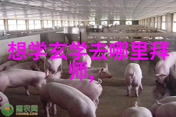 会所生活S001的奢华体验