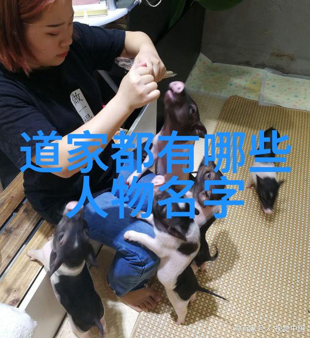 孙中山与孙文革命先锋与对外来文化影响探讨
